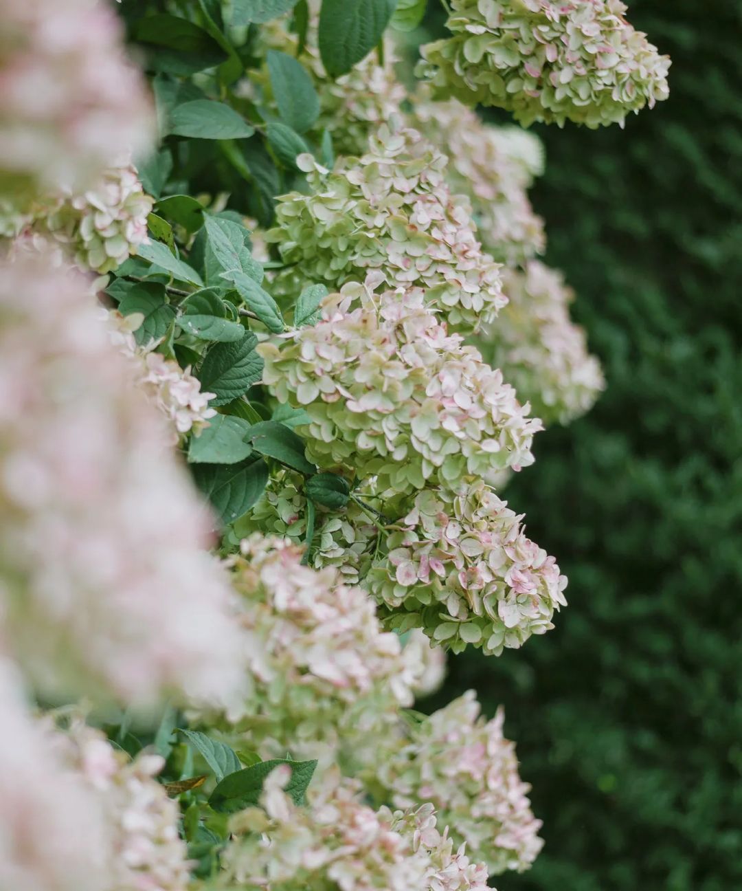 생방송오늘저녁 대한민국 보물정원 남해 여행 추천