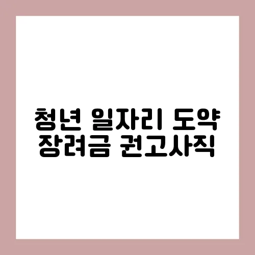 청년 일자리 도약 장려금 권고사직