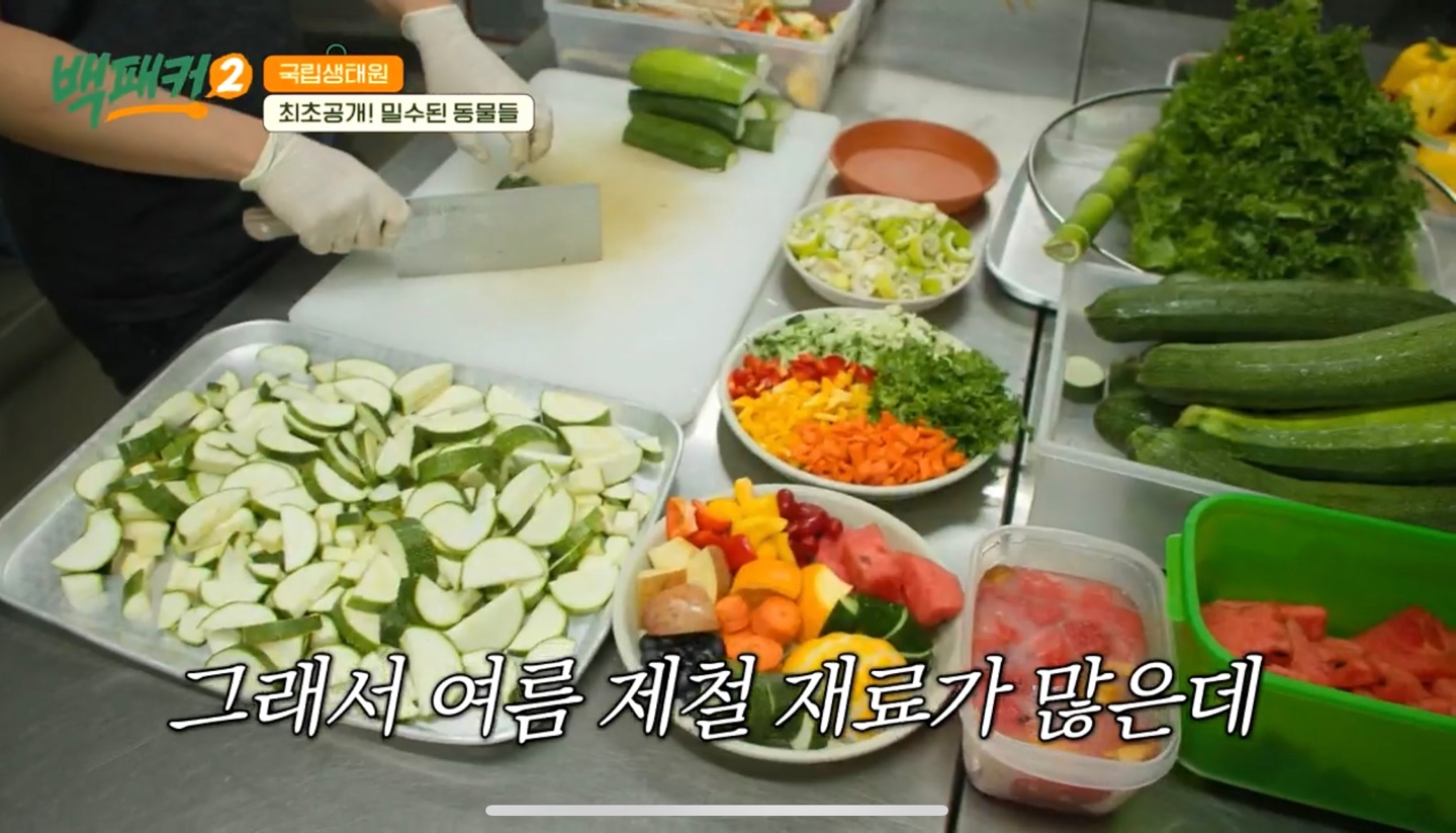 백패커2 X 국립생태원 입장료&amp;#44;시간&amp;#44;위치 정보