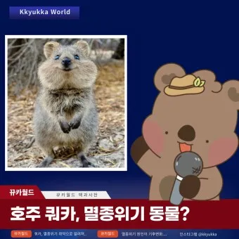 쿼카 웃는 동물 행복한 동물 특징 성격_13