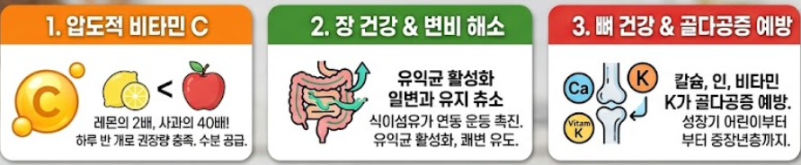 파프리카 효능