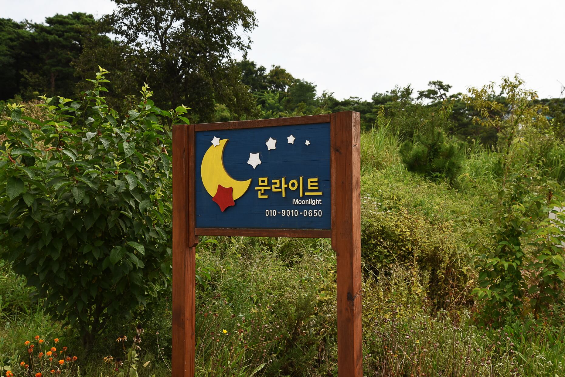 문라이트-캠핑장-표지판