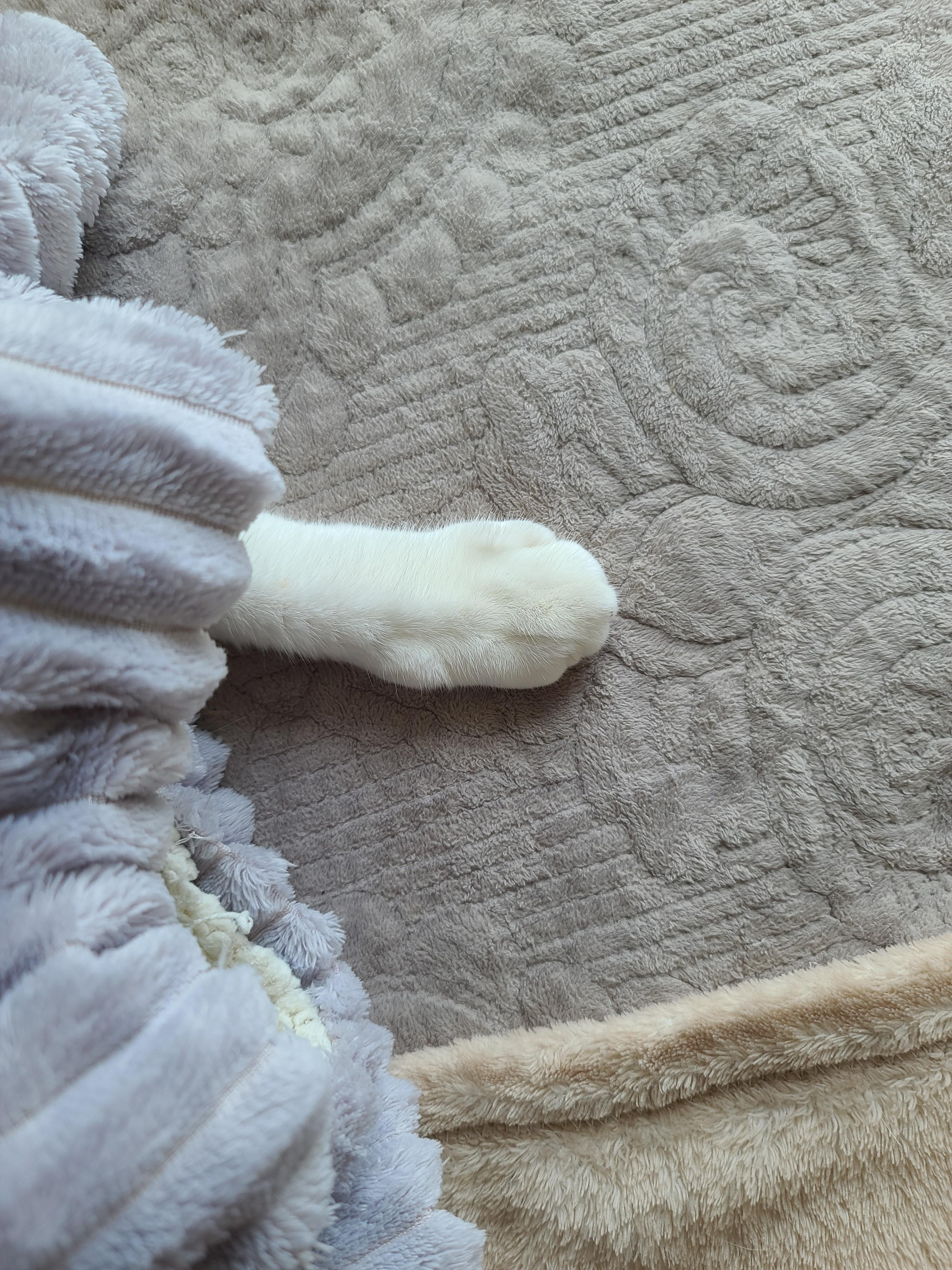 에어컨 바람을 피하고 싶을때 올블랙 건이와 막둥이 삐용이의 선택은...!