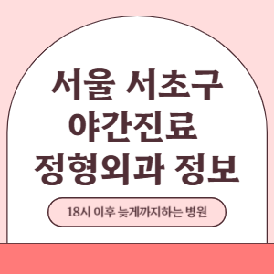 서울 서초구 야간진료 정형외과 병원 (18시 이후 늦게까지하는 병원)