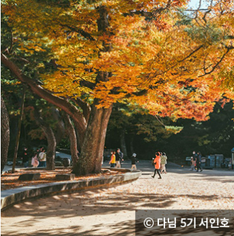 단풍명소