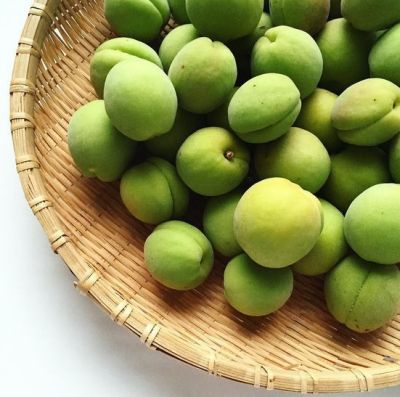 속쓰림 완화에 매실차도 좋아요