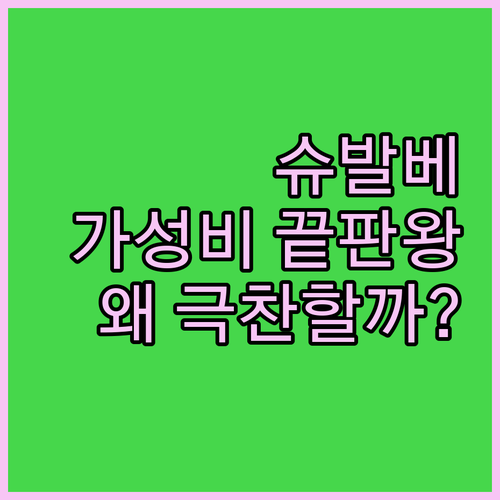 가성비 끝판왕 슈발베 타이어! 왜 다