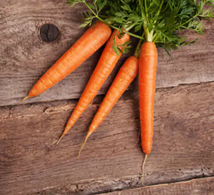 hdl-콜레스테롤-높이는-방법-정상수치-건강