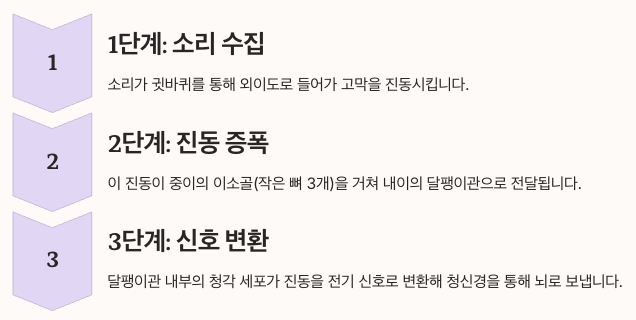 골전도 이어폰과 청각 시스템의 이해 단계별 정리