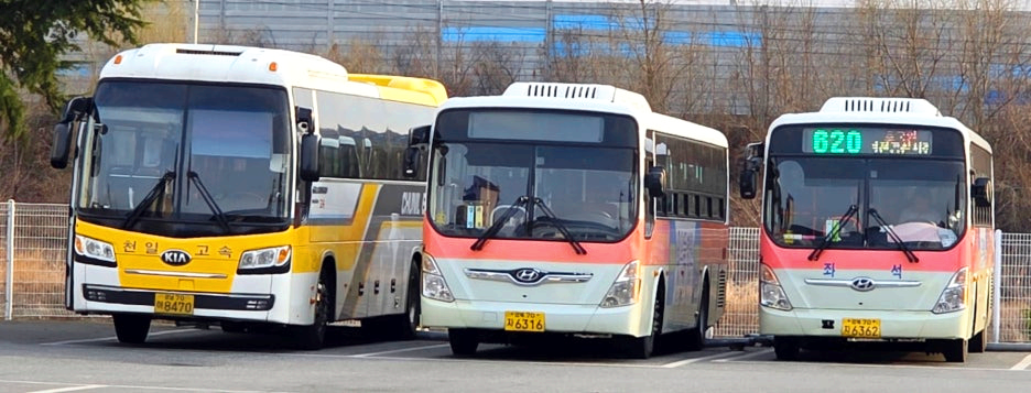 천일고속, 영천교통 차량