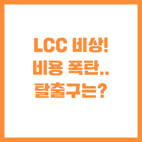 비용 인플레이션이 불러온 저가 항공사..