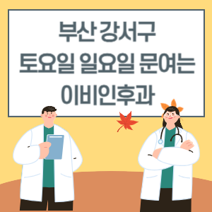 부산 강서구 토요일 일요일 이비인후과 진료 병원 리스트