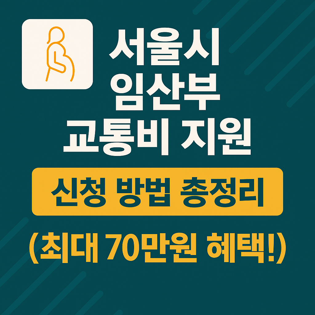 서울시 임산부 교통비