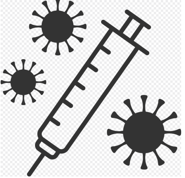 니파 바이러스란?