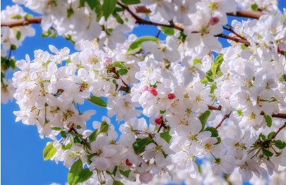 입춘대길 붙이는 시간 방법