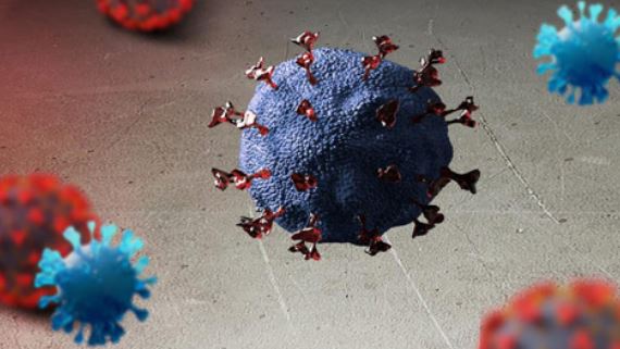 오미크론_바이러스_변이