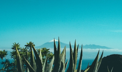 마데카솔-겔-파는곳