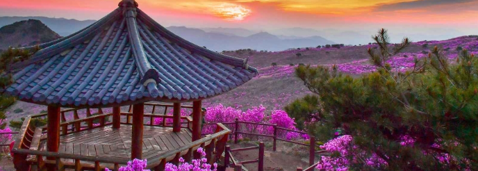 비슬산 참꽃문화제2