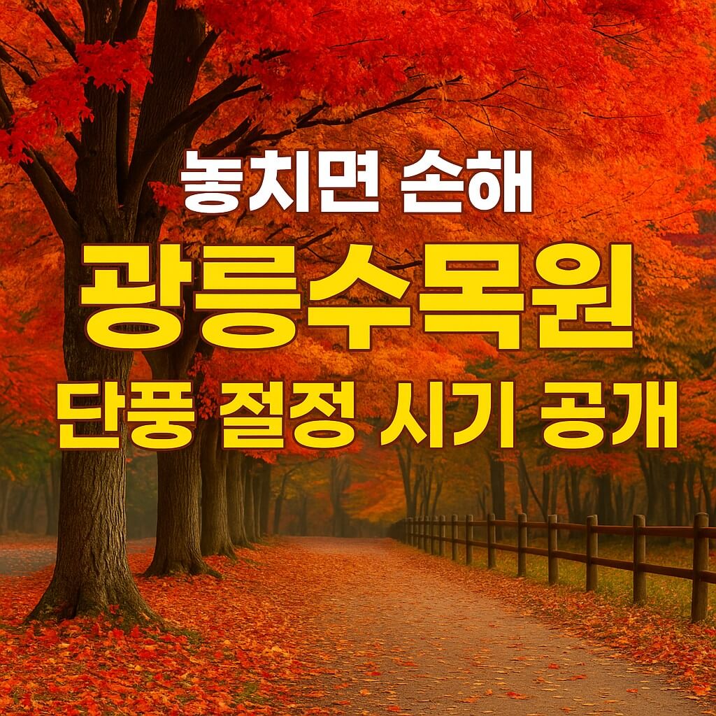 놓치면 손해 광릉수목원 단풍 절정 시기 공개