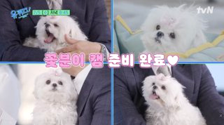 구성환 꽃분이 나이 프로필 사망 나혼산 국토대장정