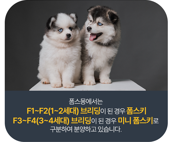 폼스키