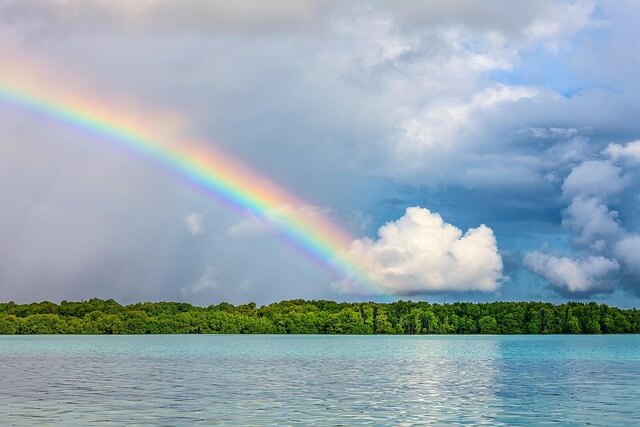 이석증에 좋은 음식