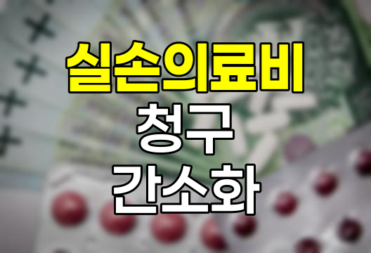 실손의료비 청구 간소화 혁명
