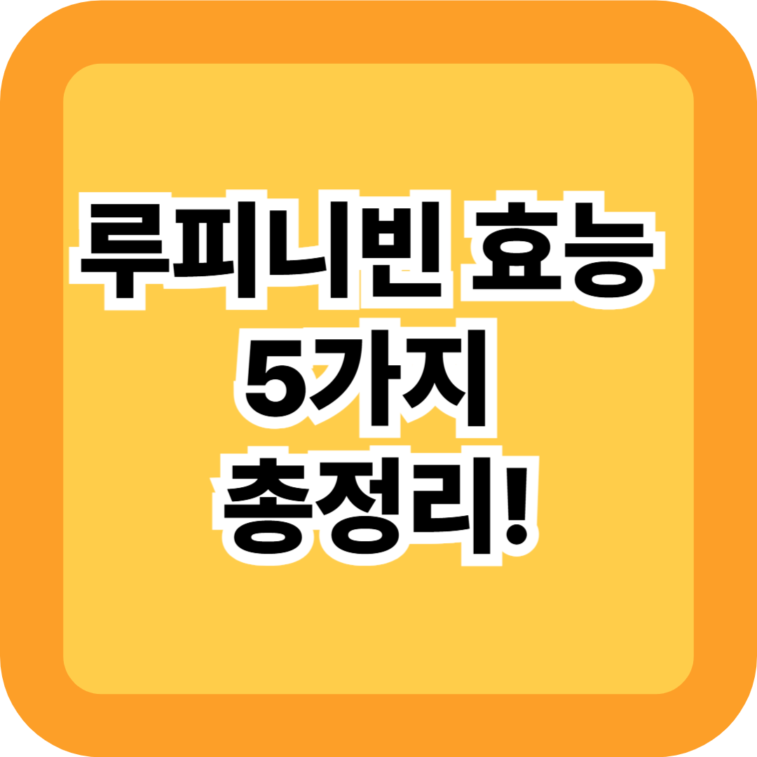 루피니빈 효능 5가지 총정리!당뇨에 좋은 이유와 먹는법까지 한눈에 가이드