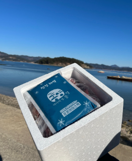 쪼이수산 홍가리비