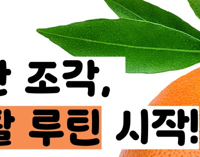 자몽 효능