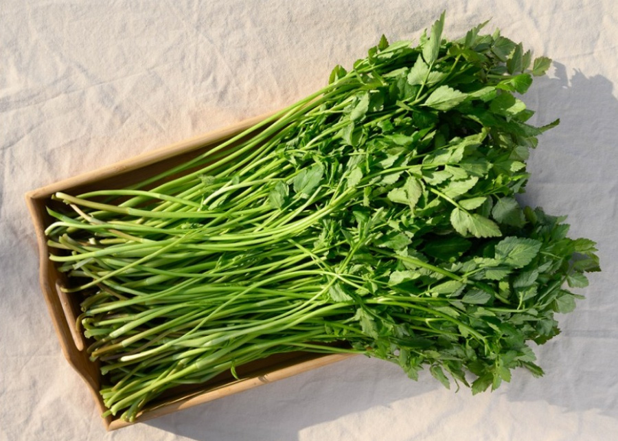 야생에서 채취를 한 미나리를 잘 세척을 한 후에 네모난 나무 그릇에 수북하게 담아두고 위에서 찍은 사진