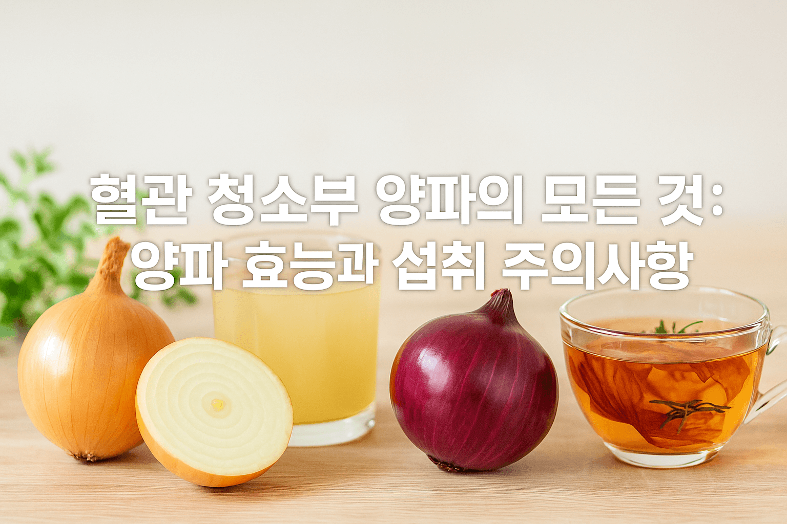 혈관 청소부 양파의 모든 것: 일반 양파, 양파즙, 자색양파, 양파껍질차 효능과 섭취 주의사항
