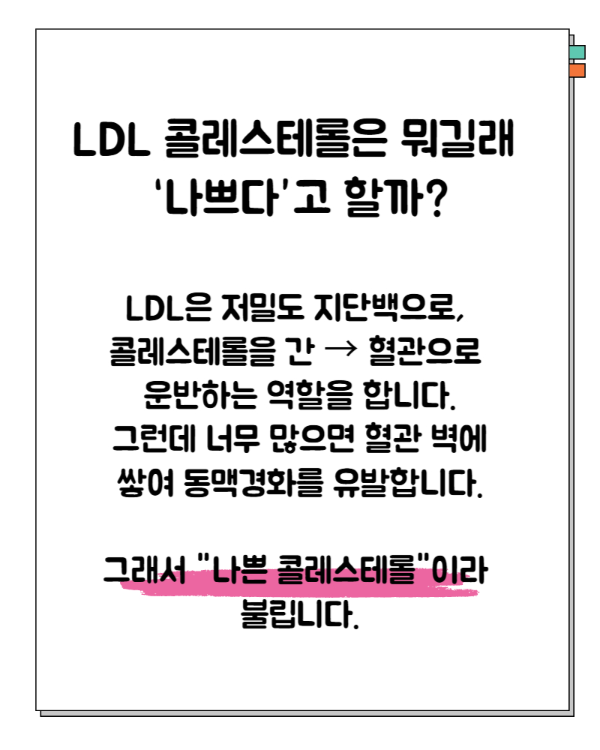 ldl콜레스테롤 이란