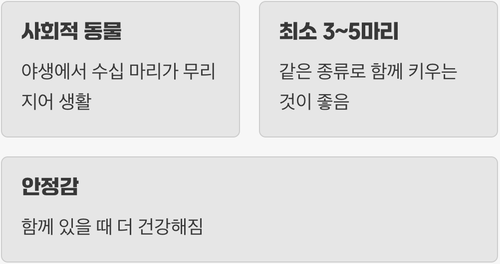 함께하면 즐거워! '떼' 지어 키우기