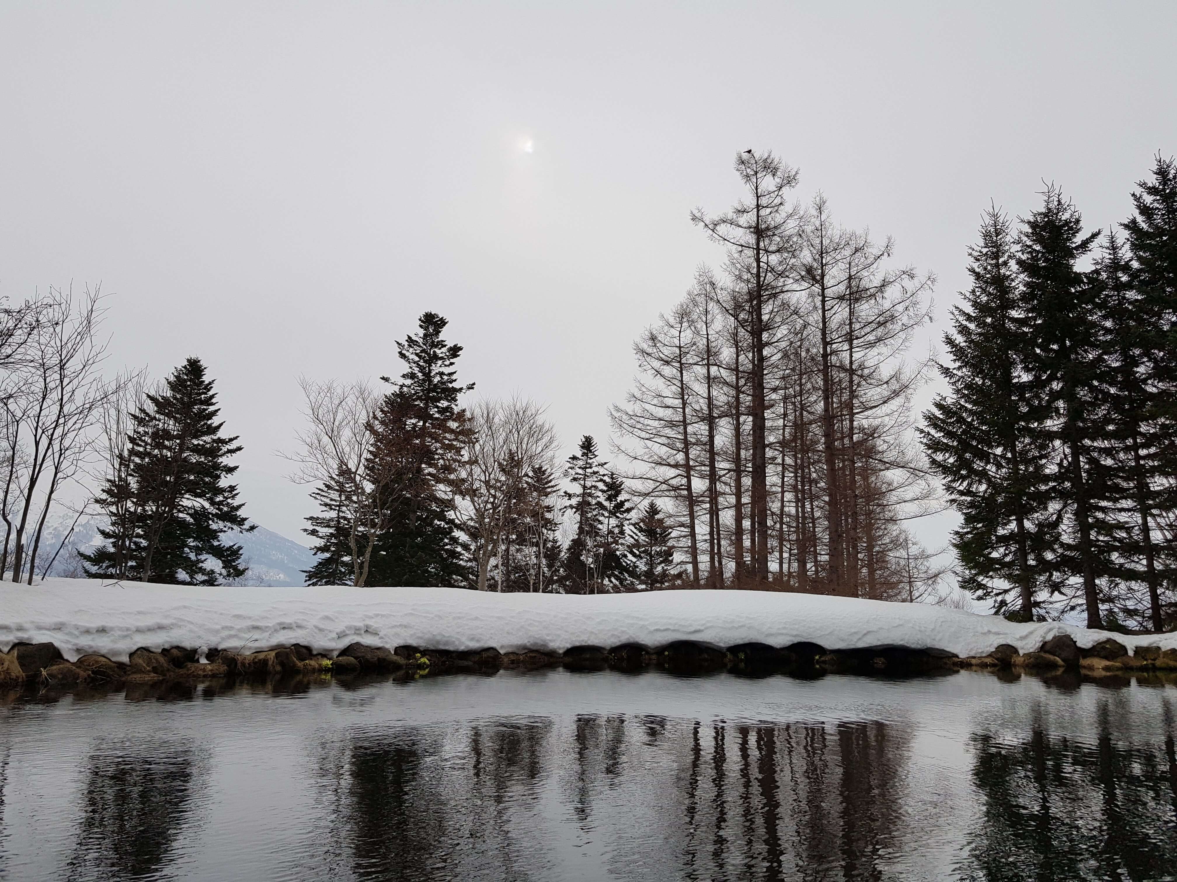 niseko-hilton-hotspring-cloudy