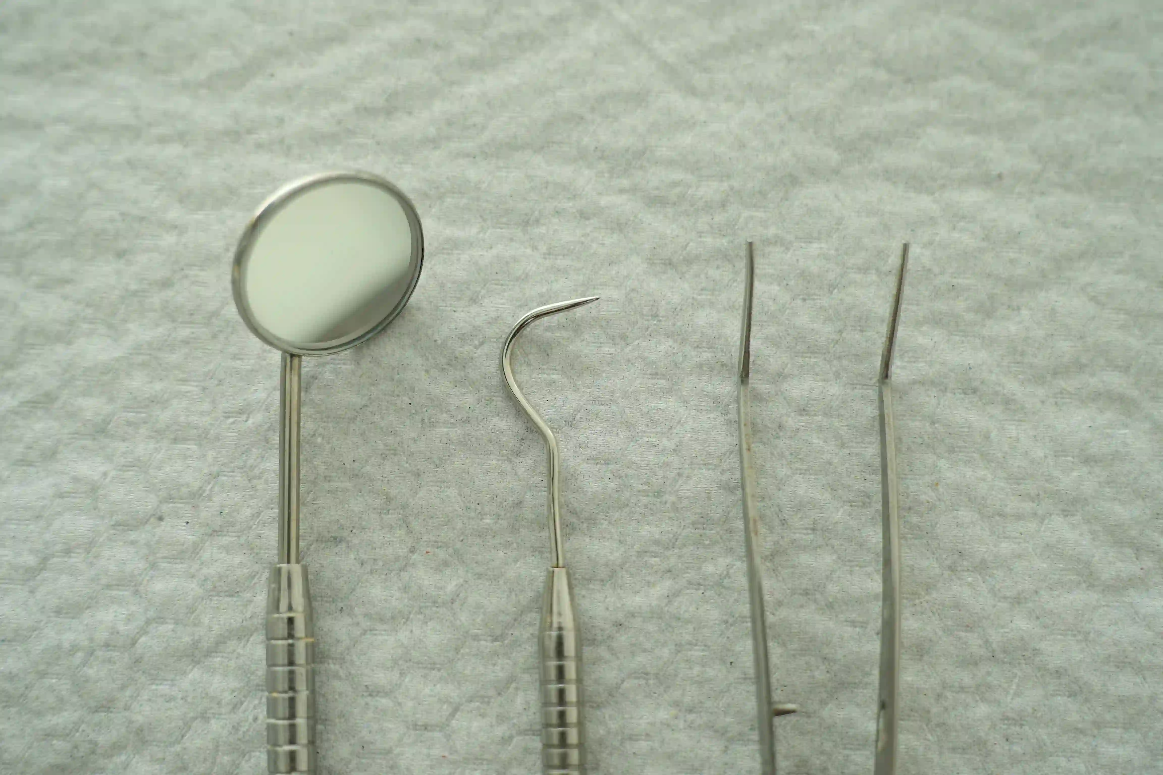 구강유산균｜입속 건강을 지키는 작은 비밀