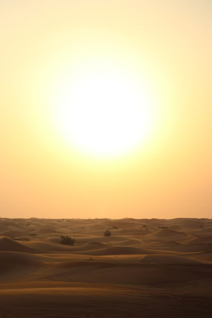 도심 열섬 현상과 기후 불균형