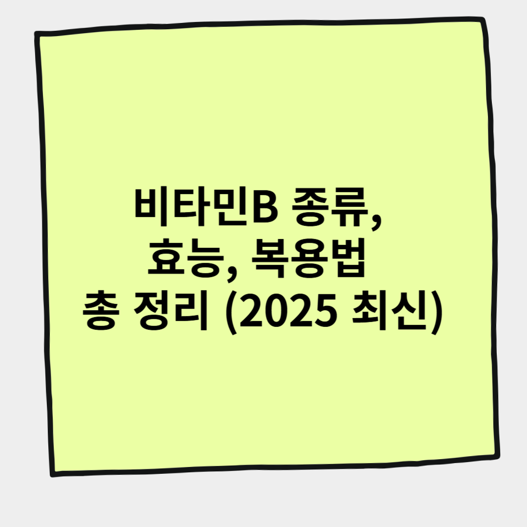 비타민B 종류, 효능, 복용법 총 정리 (2025 최신)