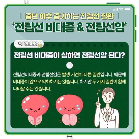 전립선 영양제