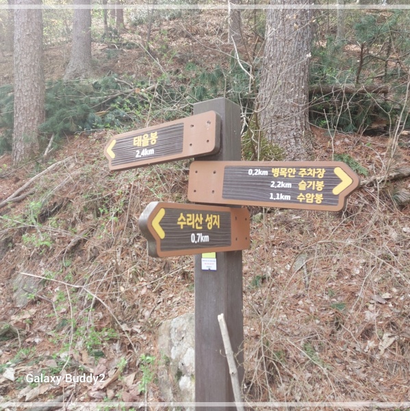 수리산 중턱