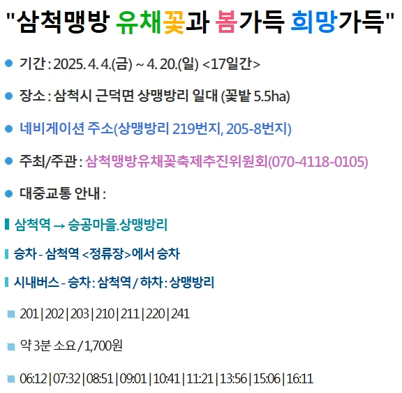 삼척 맹방 유채꽃 축제 프로그램&amp;#44; 주차장 및 교통 총정리(+주변 관광 명소)