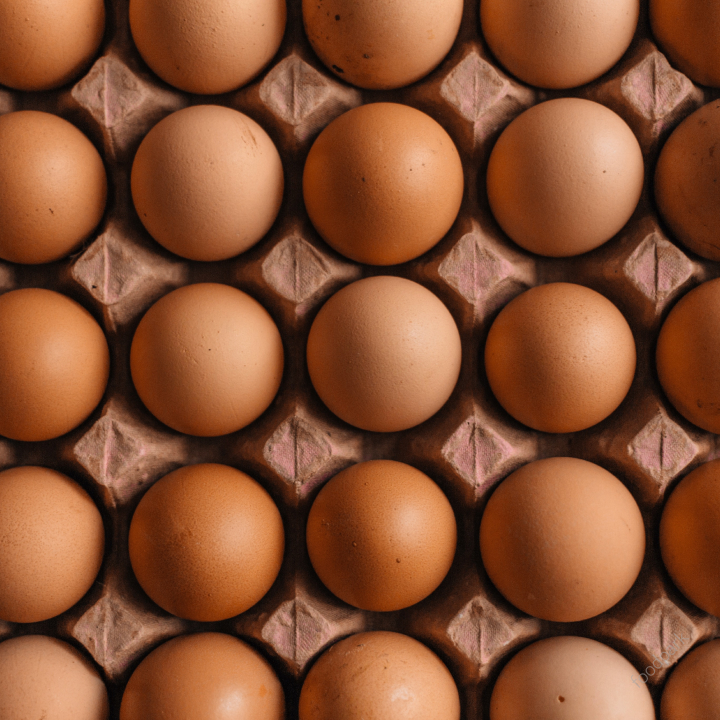 단백질 과다섭취