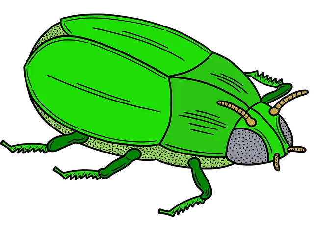 벌레가 집 안에 있는 꿈