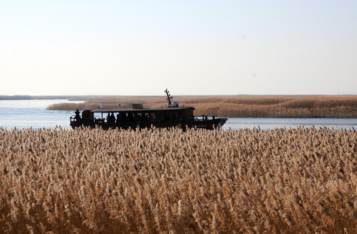 순천만 습지 용산전망대