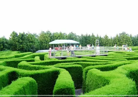 제주-김녕미로공원-입장료-운영-시간