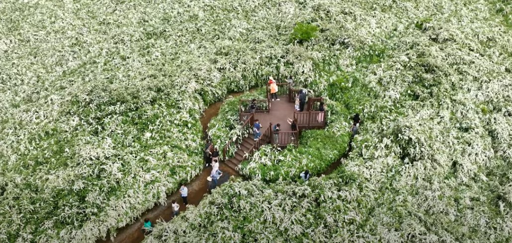 5월에 꼭 가봐야 할 적국 봄꽃 명소