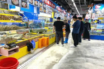 가락시장 맛집 회센터 수산시장 꽃게_8