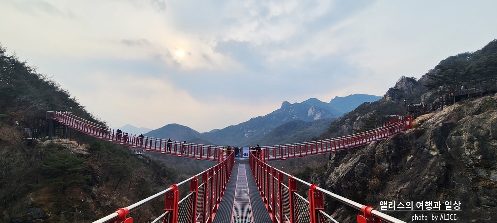 거창 Y 자형 출렁다리 (입장권 현장구매가능) 경남 가볼만한곳