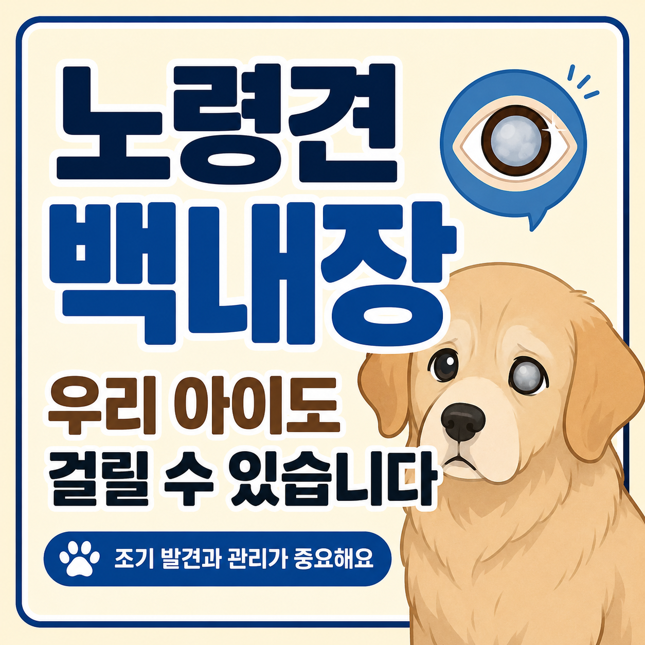 노령견 백내장