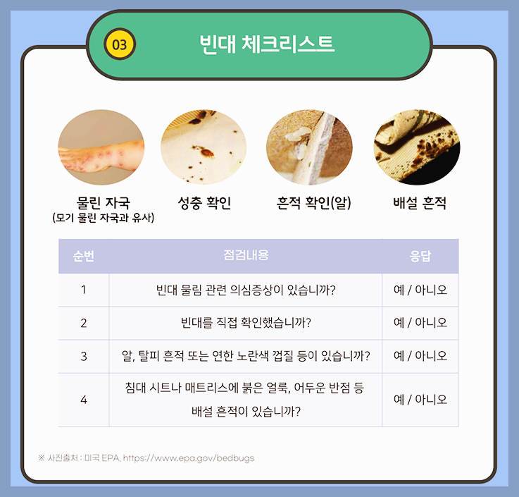빈대 퇴치법 및 증상 A to Z